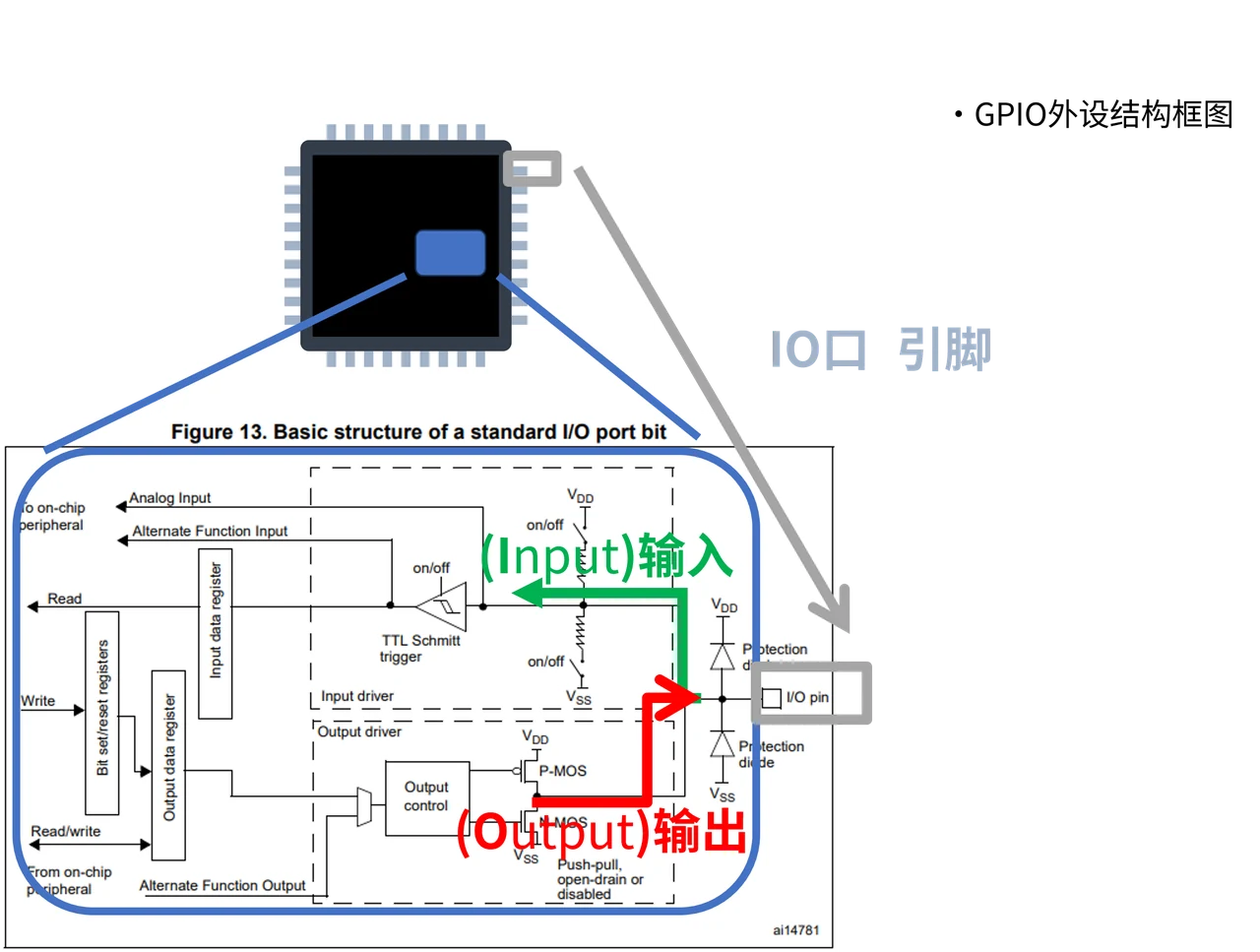 先区分左侧的外部引脚与右侧的芯片内部通路。