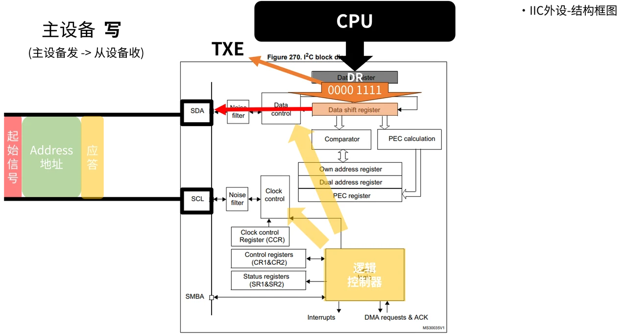 主设备写：数据从程序进入数据寄存器，再由移位通路送到 SDA。