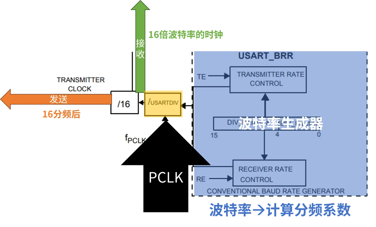 从外设时钟出发，沿分频关系找到收发时钟。